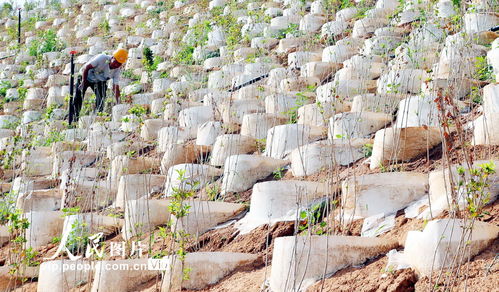 河北井陘 礦山修復治理 改善生態環境